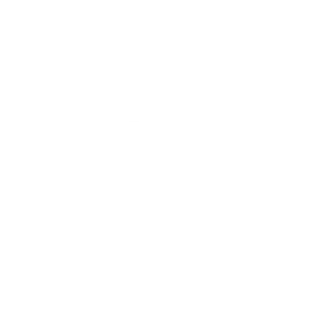 Inspire - Social Icon Spotify