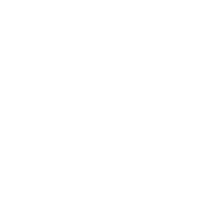 Inspire - Social Icon TikTok