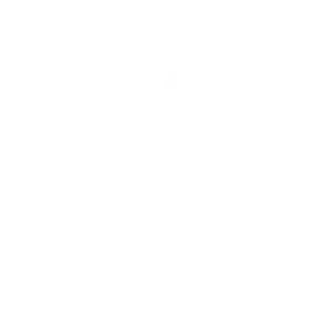 Inspire - Social Icon Twitter