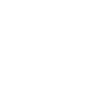 Inspire - Social Icon XBox