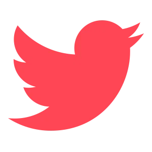 Valo - Social Icon Twitter