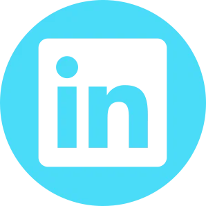 Zero Absolu Gaming - Social Icon Linkedin