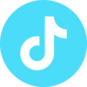 Zero Absolu Gaming - Social Icon TikTok