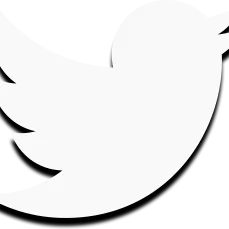 Zirkon - Social Icon Twitter