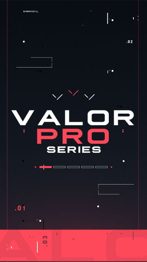 ValorPro